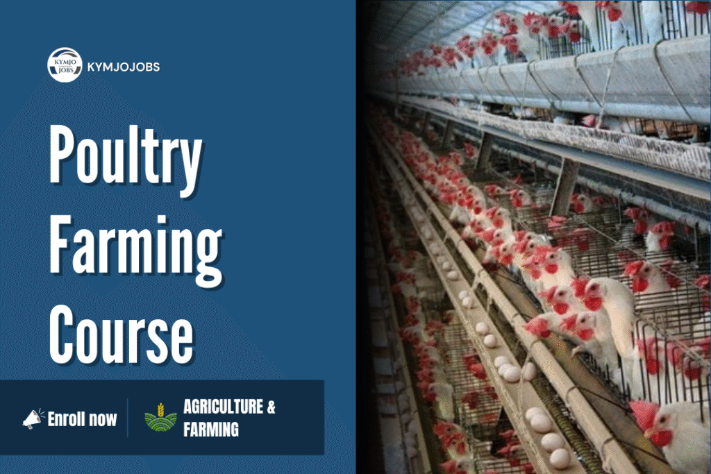 Poultry Farming