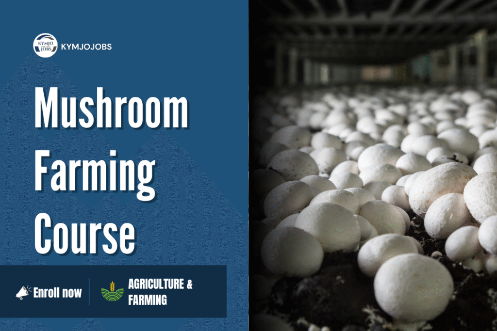 Mushroom Farming