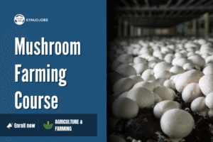 Mushroom Farming