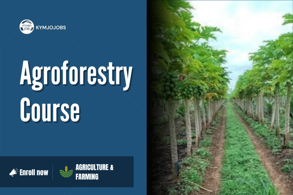 Agroforestry