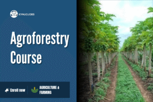Agroforestry