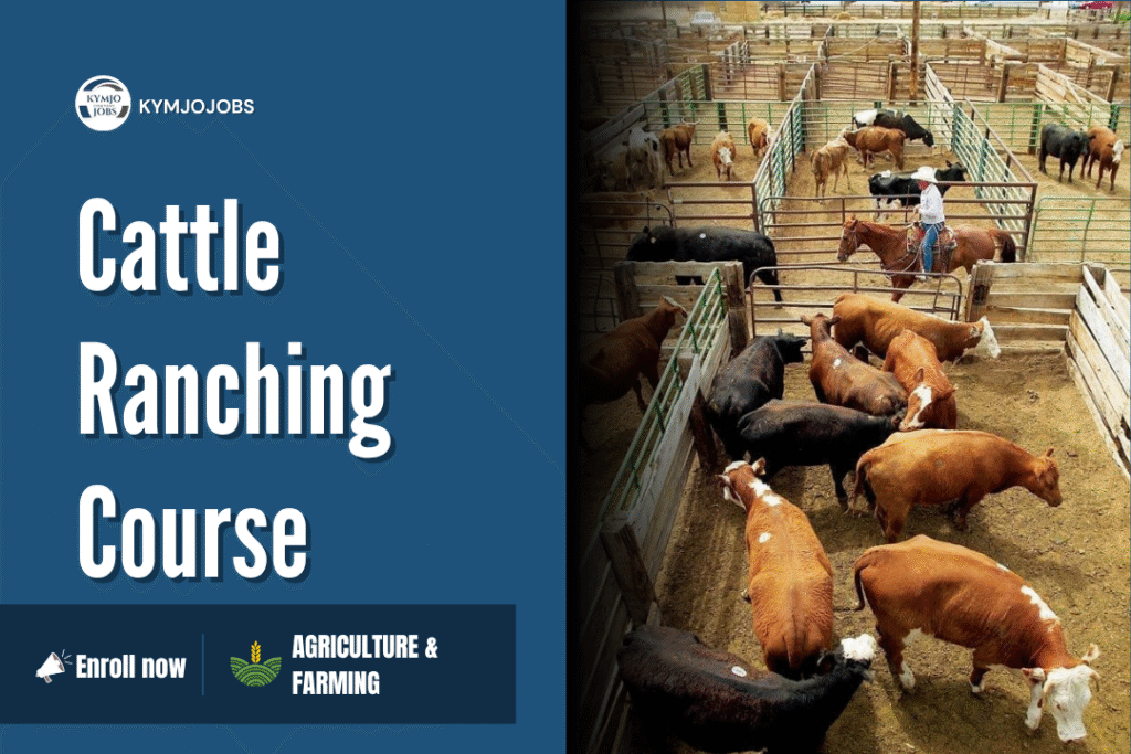 Cattle Ranching