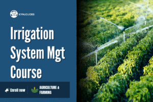 Irrigation System Management