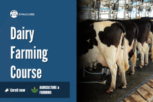 Dairy Farming